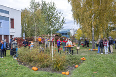 Happy Pumpkin Day